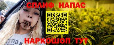 индика Будённовск