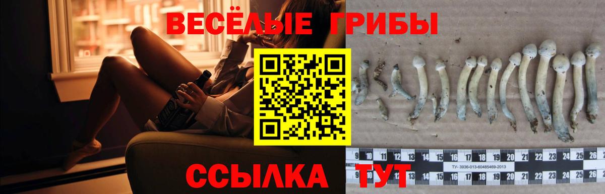 МДМА  Вход с VPN  Арсеньев  ГАШ  Каннабис  МЕФ кристаллы 
