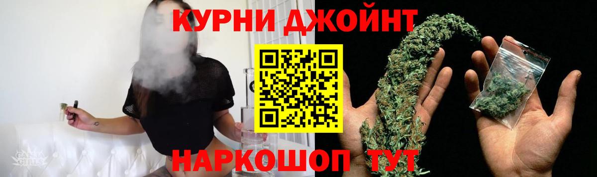 Бошки Шишки планчик Арсеньев